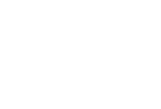 swg logo